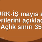 TÜRK-İŞ mayıs ayı - TÜRK-İŞ mayıs ayı verilerini açıkladı: Açlık sınırı 35