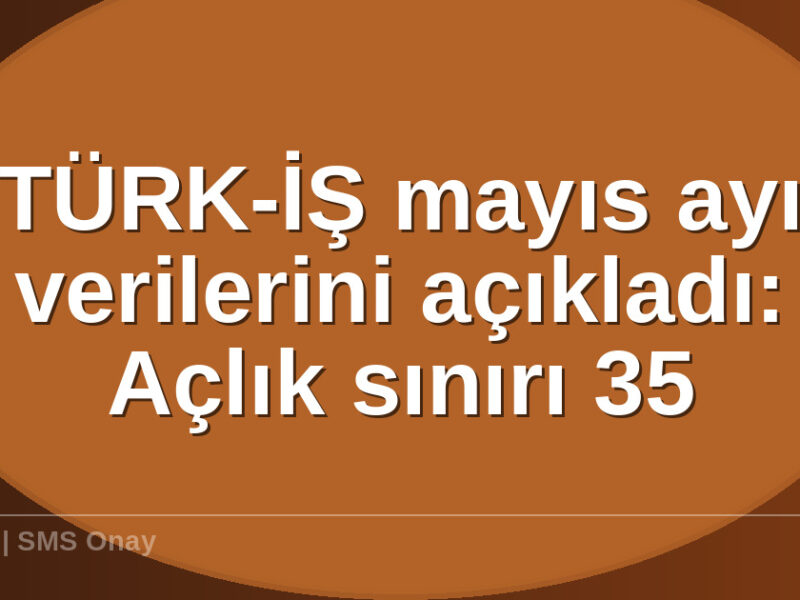 TÜRK-İŞ mayıs ayı - TÜRK-İŞ mayıs ayı verilerini açıkladı: Açlık sınırı 35